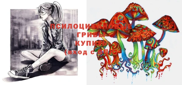 стафф Алексеевка