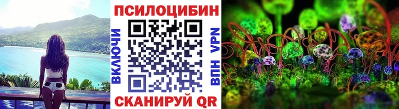 Псилоцибиновые грибы ЛСД  кракен сайт  Пушкино 