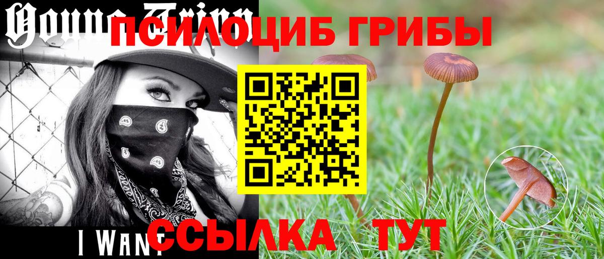 Псилоцибиновые грибы Psilocybine cubensis  Вход с VPN  Пушкино 