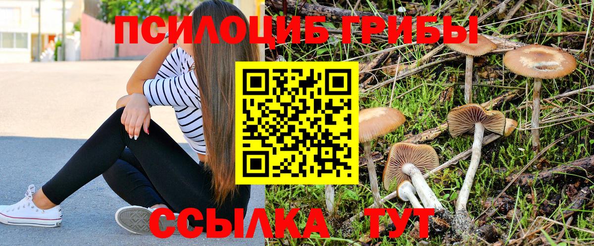 Галлюциногенные грибы Magic Shrooms Пушкино